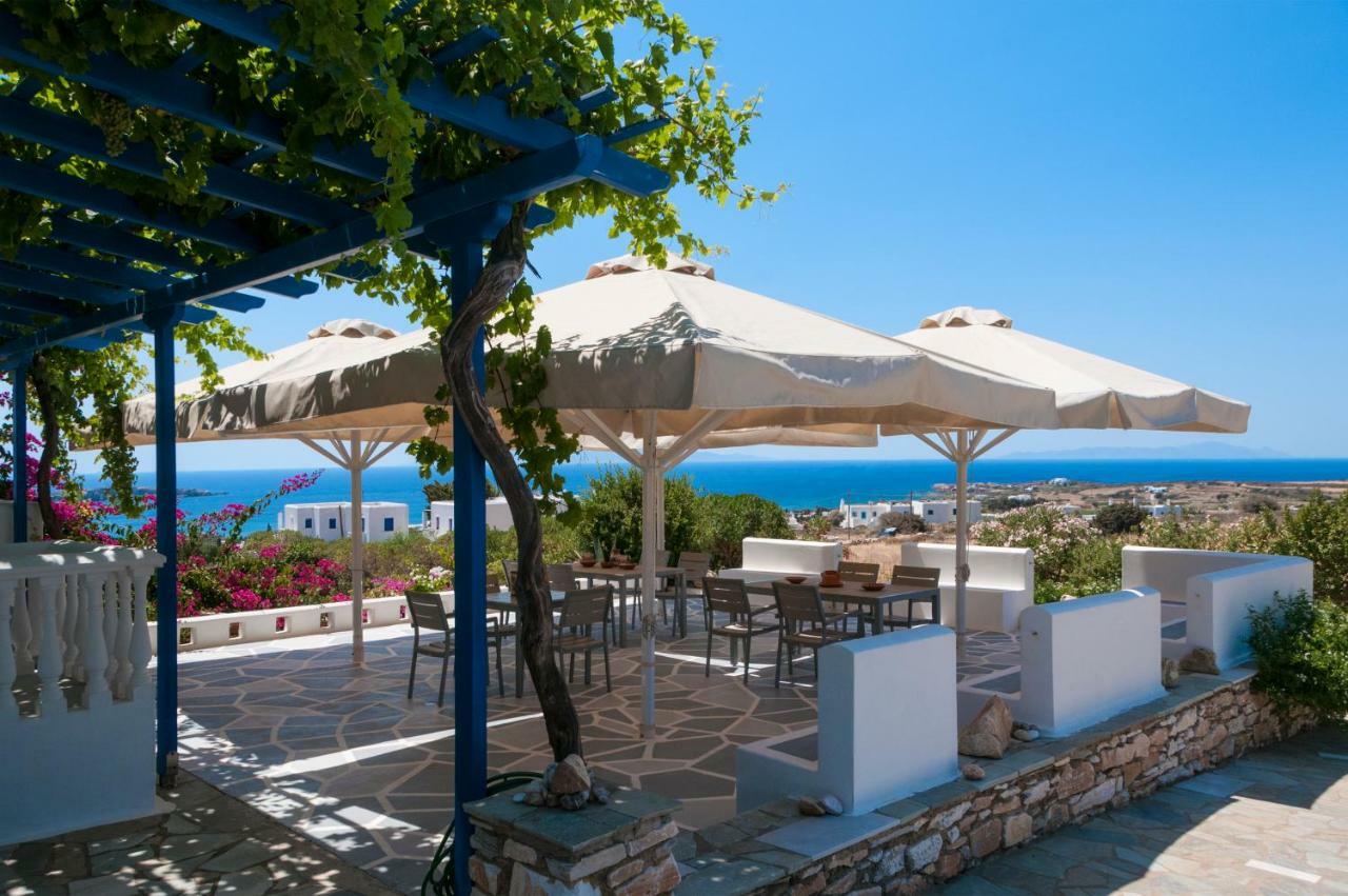 Dryades Family Hotel Drios Luaran gambar