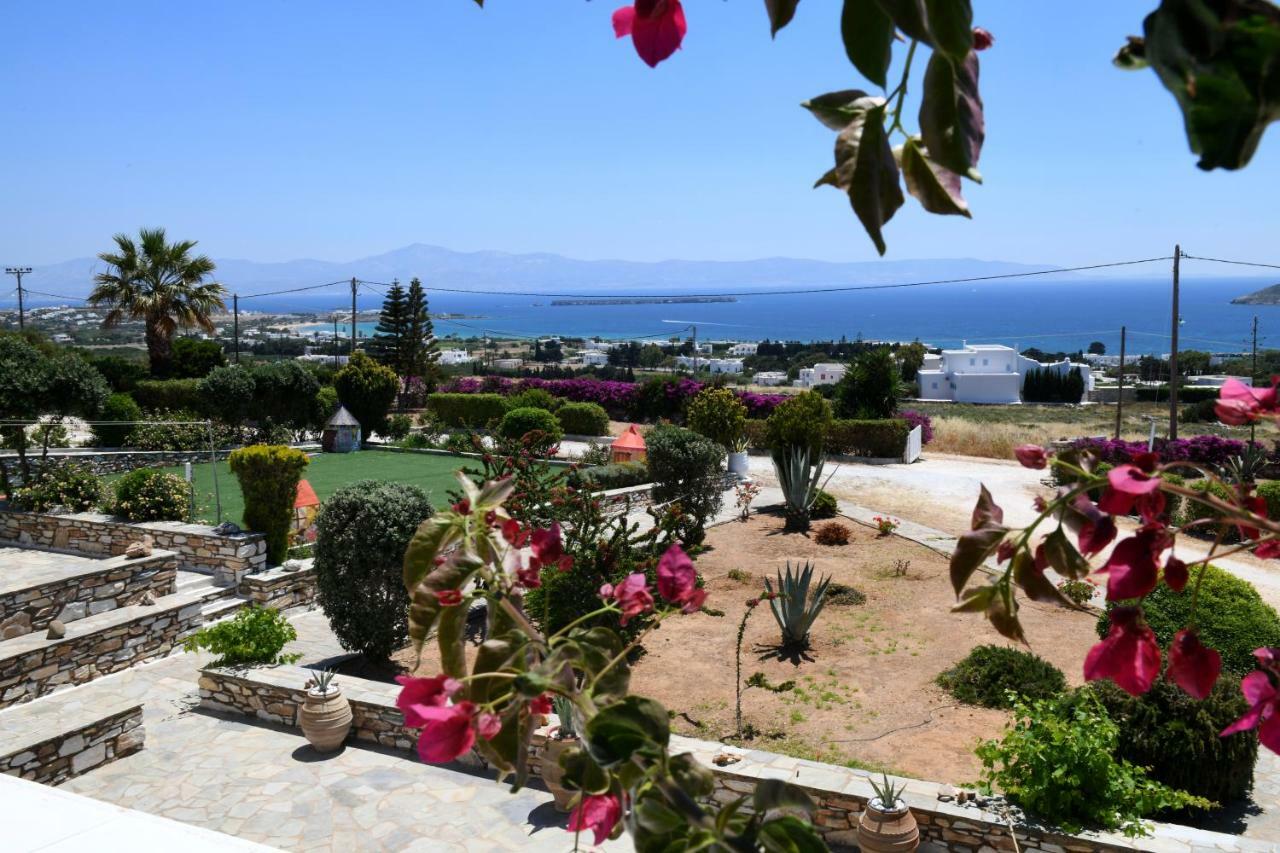 Dryades Family Hotel Drios Luaran gambar
