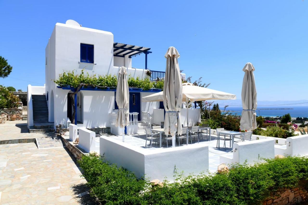 Dryades Family Hotel Drios Luaran gambar