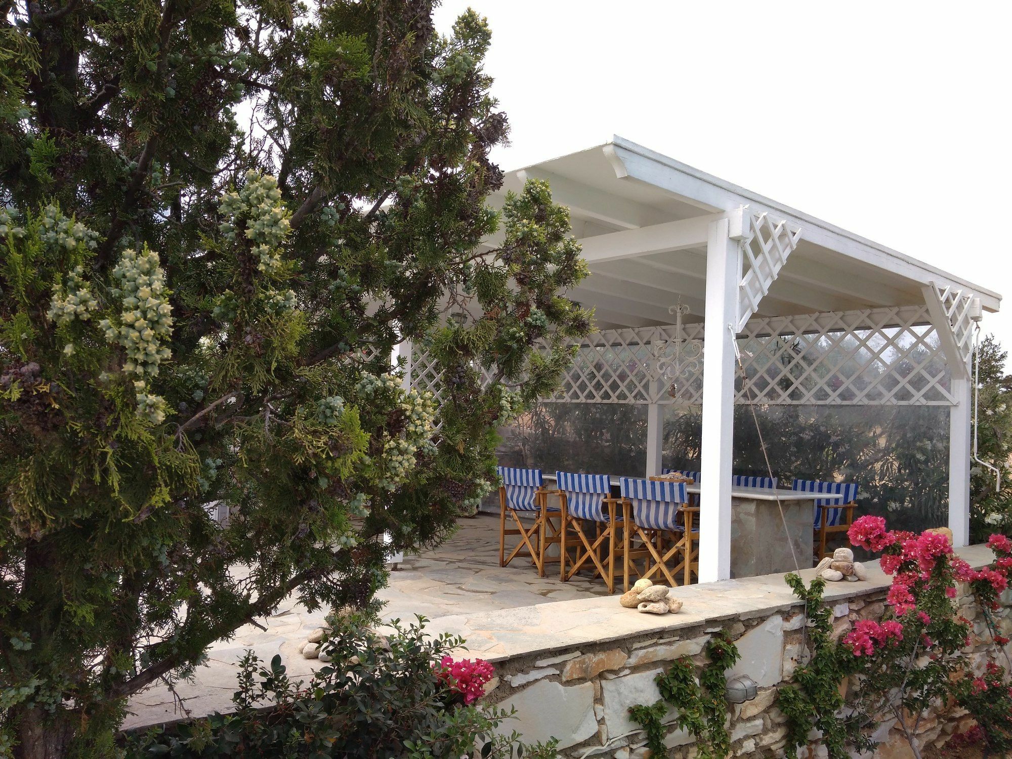 Dryades Family Hotel Drios Luaran gambar